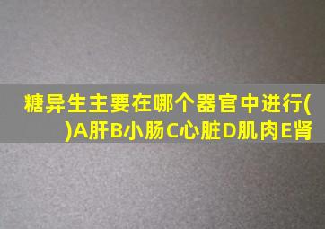 糖异生主要在哪个器官中进行( )A肝B小肠C心脏D肌肉E肾